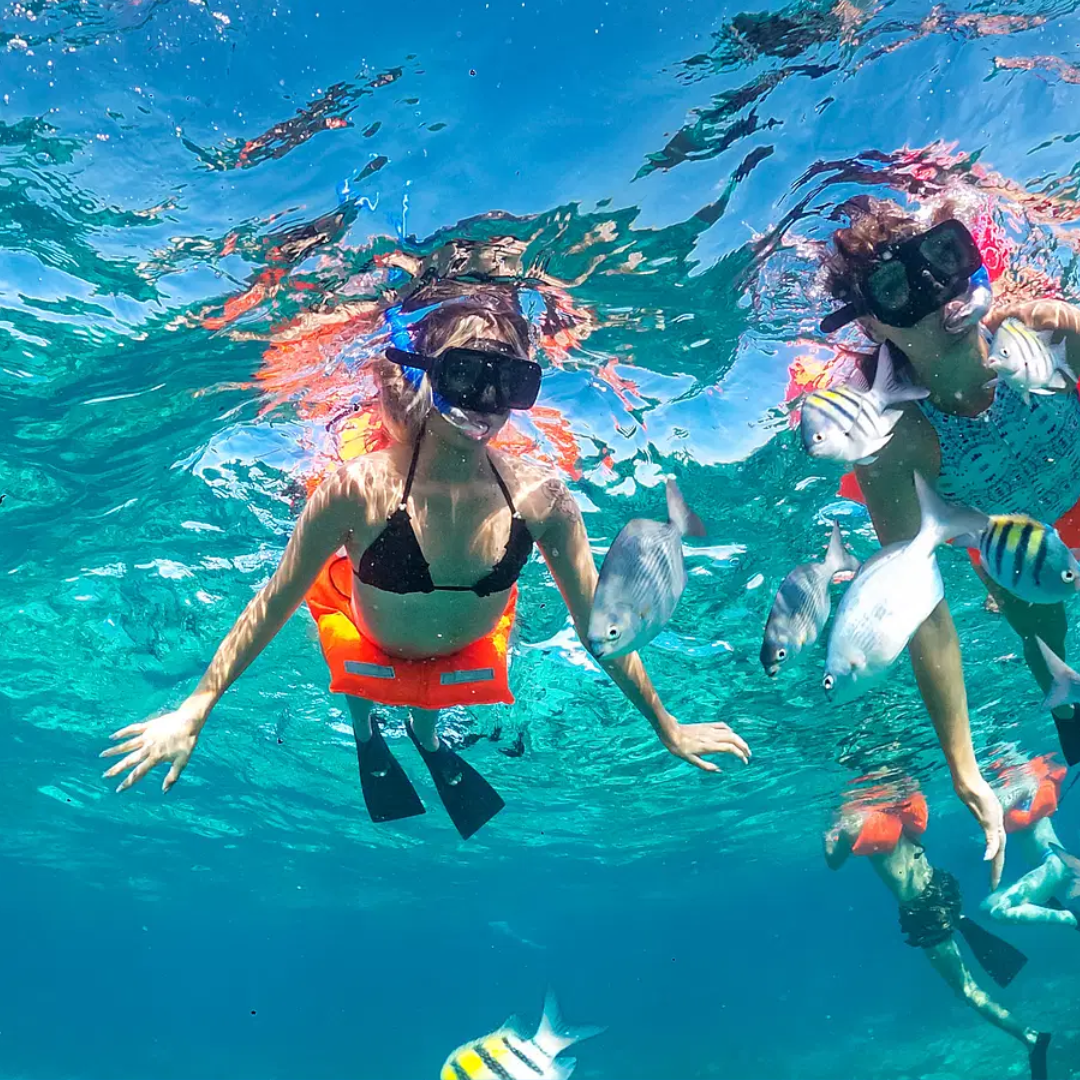 Isla Mujeres - Image 8